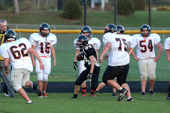 BRF JV (28)