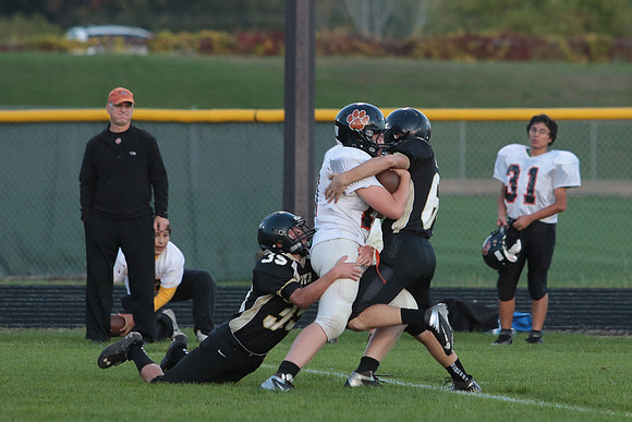BRF JV (30)