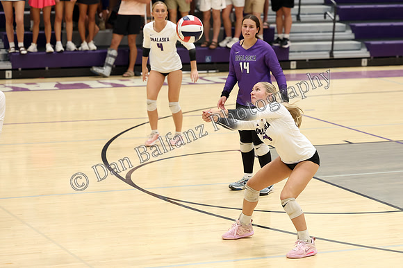 AQU_ONA (109)