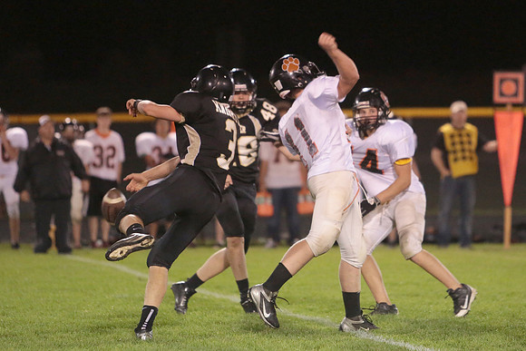 BRF JV (46)