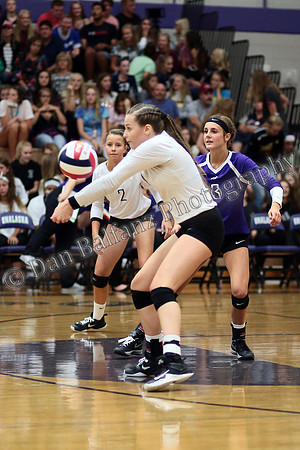 AQU_ONA (35)