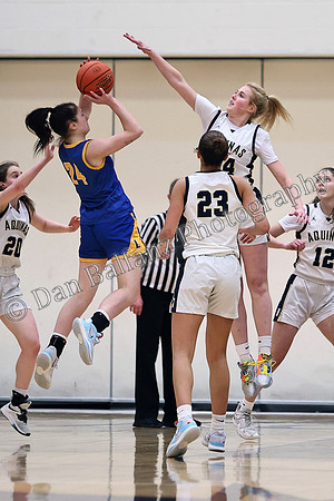 LAN_AQU (36)