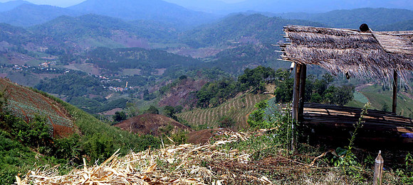 thailand  (1000)