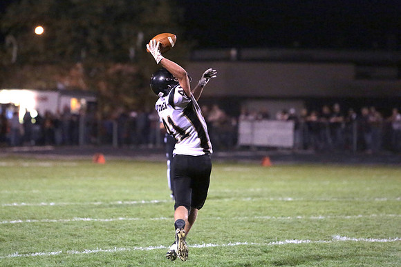 BRF (28)