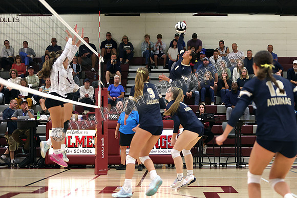 AQU_HOL (90)