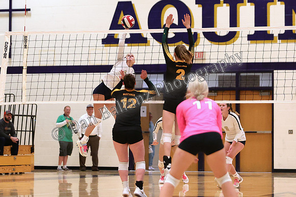 MEL_AQU (19)