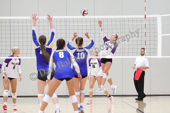 MW_ONA (5)