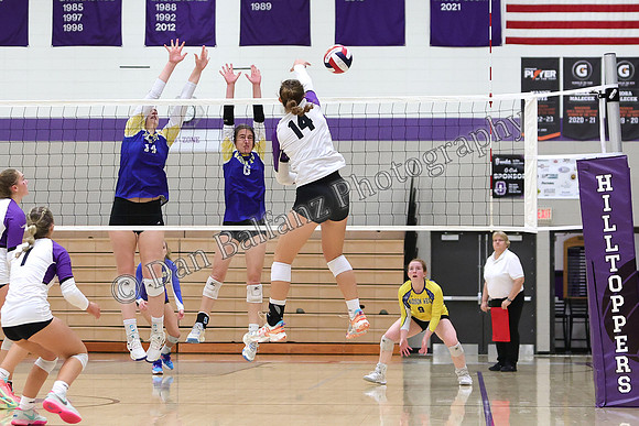 MW_ONA (15)