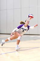 Volleyball