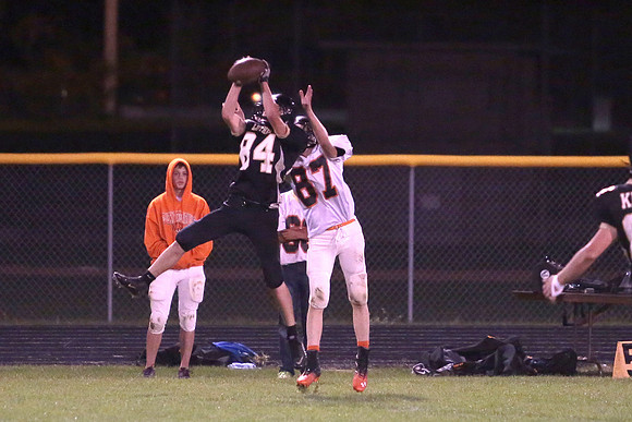 BRF JV (44)