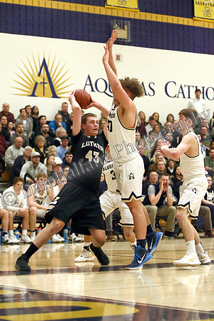 Aquinas (19)