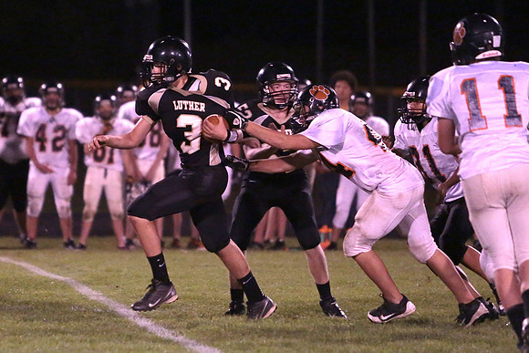 BRF JV (45)