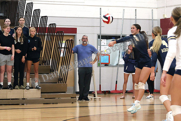 AQU_CEN (22)