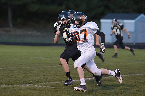 BRF JV (34)
