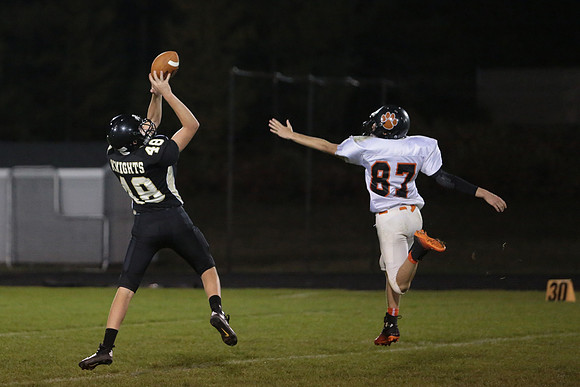 BRF JV (42)