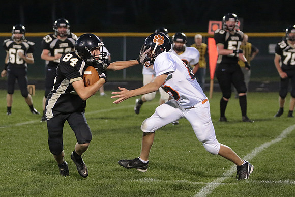BRF JV (38)